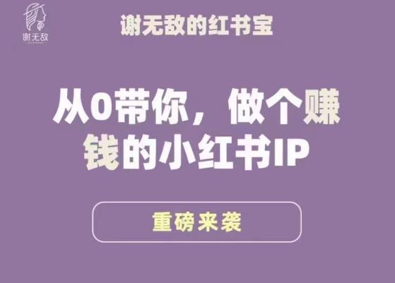 谢无敌·小红书运营大宝典，从0带你做个赚钱的小红书IP