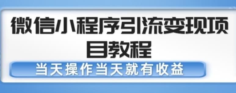 微信小程序引流变现项目教程，当天操作当天就有收益，变现不再是难事