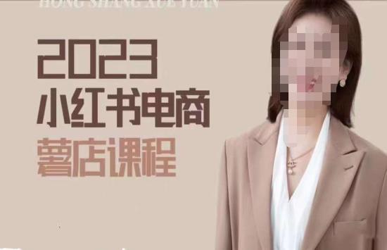 2023小红书电商课，新手小白从0~1玩转小红书薯店电商