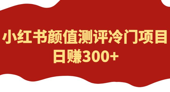 外面1980的项目，小红书颜值测评冷门项目，日赚300+【揭秘】