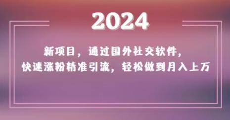 2024新项目，通过国外社交软件，快速涨粉精准引流，轻松做到月入上万【揭秘】