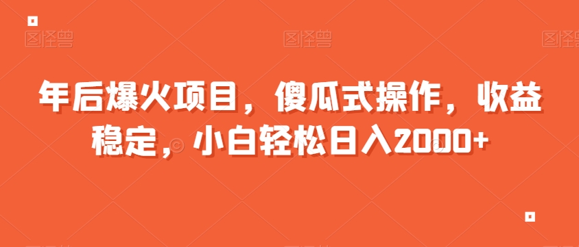 年后爆火项目，傻瓜式操作，收益稳定，小白轻松日入2000+