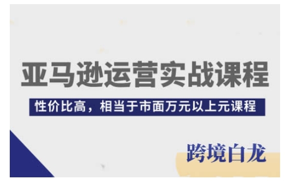 亚马逊运营实战课程，亚马逊从入门到精通，性价比高，相当于市面万元以上元课程