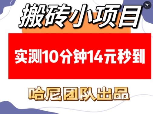 搬砖小项目，实测10分钟14元秒到，每天稳定几张(赠送必看稳定)