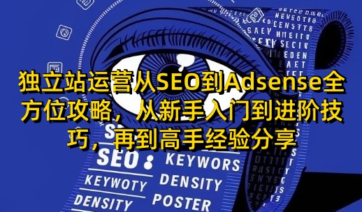 独立站运营从SEO到Adsense全方位攻略，从新手入门到进阶技巧，再到高手经验分享