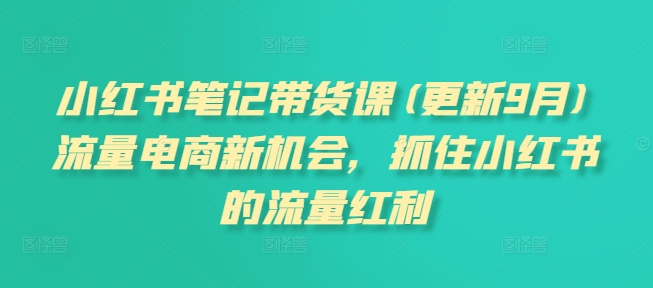 小红书笔记带货课(更新25年2月)流量电商新机会，抓住小红书的流量红利