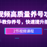 短视频高质量养号攻略：手把手教你养号，快速提升播放量（2节视频课）