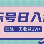 某团队内部项目，抖音音乐号多方面实战操作，一天收益10160元，月入30W+