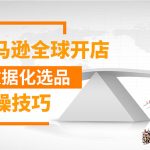 亚马逊全球开店数据化选品实操技巧：驱动新品爆款打造系统（无水印-视频）