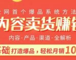 内容卖货赚钱：0基础打造卖爆品，每月轻松躺赚10W+【完结】