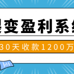 王六六·裂变盈利系统（18个核心技巧+7个视频教程+2个深度解析案例+7步傻瓜式裂变）