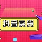 抖咖抖音短视频带货视频教程，月入10W+不是传说