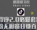 树敌研习社6月抖音赚钱课程：抖音小程序2.0必爆套路零粉无橱窗日赚百元玩法