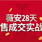 薇安28天销售成交实战营，5分钟成交3万，实现了月入近6位数的营收