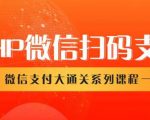 微信扫码支付系列课，支付接口接入必备技术，实现在线自动化收款（5节课）