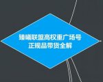 臻曦联盟抖音高权重广场号无人直播正规品带货全解【视频教程】