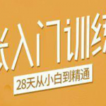 手帐入门训练营，28天从小白到精通：一纸一笔，记录我们闪闪发光的小日子