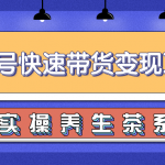 柚子视频号带货实操变现项目，零基础操作养身茶月入10000+