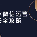 企业微信运营增长全攻略：引流+裂变+运营+成交（16节体系课）