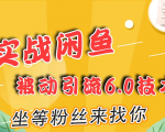 实战闲鱼被动引流6.0技术，坐等粉丝来找你，打造赚钱的ip(16节课+话术指导)