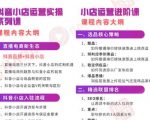 小店运营全套系列课 从基础入门到进阶精通，系统掌握月销百万小店核心秘密