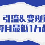 引流&变现课：分享一整套流量方法以及各个渠道收入，每月最低1万起！