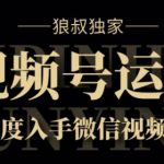 狼叔独家：视频号8.0运营实战课价值1280元