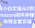 电商小白实操从0到1跑通amazon闭环并赚到一块钱全套实操【付费文章】