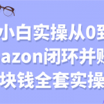 电商小白实操从0到1跑通amazon闭环并赚到一块钱全套实操【付费文章】