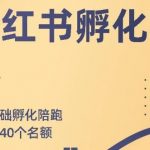 勇哥小红书撸金快速起量项目：教你如何快速起号获得曝光，做到月躺赚在 3000+