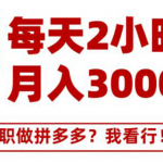 搜外网·拼多多副业课程，每天2小时月入3000元 学习这门课程真的能赚钱