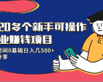 20多个新手可操作的副业赚钱项目：业余时间0基础日入几500+实操分享