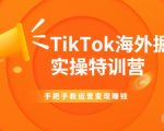 TikTok海外掘金实操特训营：手把手教运营变现赚钱