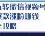 玩转微信视频号爆款涨粉赚钱全攻略，让你快速抓住流量风口，收获红利财富