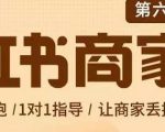 贾真-小红书商家营第6期商家版，21天带货陪跑课，让商家丢掉付流量