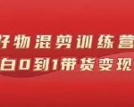 万三好物混剪训练营：小白0到1带货变现课