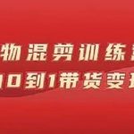 万三好物混剪训练营：小白0到1带货变现课