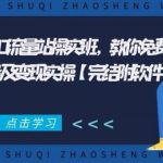 SEO流量站操实班 教你免费获得百万流量及变现实操(完结附软件)