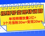 视频号变现21天特训营：3个月涨粉30w+单视频播放量2亿+变现20w+