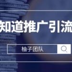 2022小白分分钟就能学会的，最新百度知道推广引流技巧