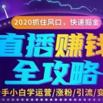 直播赚钱攻略，教你涨粉/引流/带货/变现，轻松月入10万+！