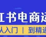 从入门到精通玩法流程持续更新顽石小红书电商高阶运营课程