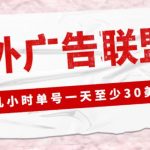 外面收费1980的最新国外LEAD广告联盟搬砖项目，单号一天至少30美金【详细玩法教程】