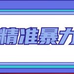 “闲鱼精准暴力引流全系列课程，每天被动精准引流100+粉丝”