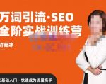 许茹冰·万词引流-SEO全阶实战训练营，0基础入门，快速成为流量高手