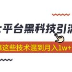 大平台黑科技引流技术，小白也能靠这些技术混到月入1w+(2022年的课程）