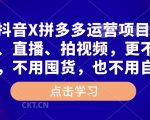 高鹏·抖音X拼多多运营项目，不需要出镜、直播、拍视频，不需要花钱推广，不用囤货，不用自己发货