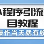 微信小程序引流变现项目教程，当天操作当天就有收益，变现不再是难事