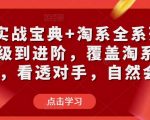 淘宝实战宝典+淘系全系列进阶，初级到进阶，覆盖淘系99%的知识，看透对手，自然会运营