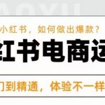 红商学院·小红书电商运营课，​新手做小红书如何快速做出爆款，从入门到精通，体验不一样的收货